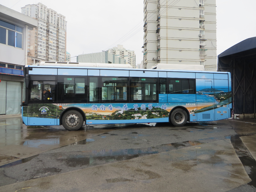 即刻出发温州多路公交车化身苍南文旅宣传大使